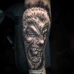 The Werewolf tattoo by Jeremiah Barba #JeremiahBarba #blackandgrey #realism #realistic #darkart #portrait #werewolf #movietattoo #wolf #rickbaker #horror #monster #tattoooftheday