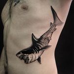 Shark Tattoo by Alessandro Micci #shark #blackworkshark #blackwork #blackworkartist #blackink #blackworker #AlessandroMicci