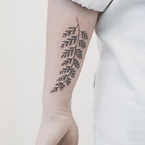 Fern tattoo by Hannah Nova Dudley #HannahNovaDudley #fern #plant #linework #delicate #plants (Photo: Instagram)