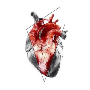 Anatomical heart design by Vlad Tokmenin. #VladTokmenin #anatomicalheart #aesthetic #alternative #contemporary #digitalart