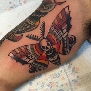 Death Moth Tattoo by Dan Edge #deathmoth #deathmothtattoo #deathmothtattoos #moth #mothtattoo #skull #skulltattoo #skullmoth #mothskull #traditionalmoth #DanEdge