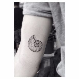 Ammonite Tattoo Designs