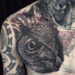Owl Tattoo by Ben Kaye #owl #realism #blackandgrey #blackandgreyrealism #portrait #BenKaye