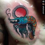 Colorful traditional shrimp tattoo by Alfonso. #traditional #colorful #prawn #shrimp #Alfonso