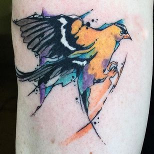 Tatuaje de jilguero en acuarela de June Jung.  #acuarela #boceto #ilustrativo #pájaro #jilguero #JuneJung