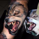 Fierce wolf by Dave Paulo #DavePaulo #realism #realistic #hyperrealism #color #wolf #dog #teeth #portrait #nature #animal #tattoooftheday