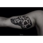 Cool dog tattoo #dalmatian #tattoo #IlyaBrezinski #dog