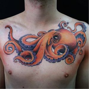 #polvo #octopus #AlcidesCorrea #TatuagemSolidaria #DesejoDoVictor #brasil