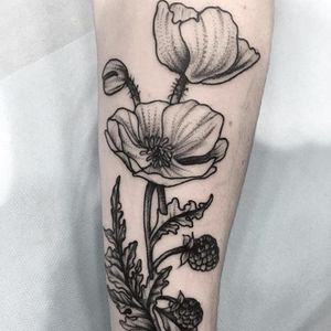 Poppy tattoo by Clarisse Amour #ClarisseAmour #blackwork #botanical #flower #poppy #btattooing #blckwrk