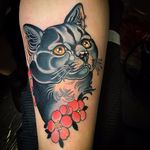 Sweet Kitty by Vale Lovette #ValeLovette #color #newtraditional #cat #kitty #petportrait #cherryblossoms #flowers #leaves #nature #animal #cute #tattoooftheday