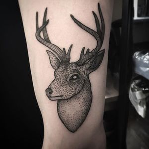 Stag Tattoo by Will Pacheco #stag #stagtattoo #blackwork #blackworktattoo #blackworktattoos #blackink #blackinktattoo #blackworkartist #WillPacheco