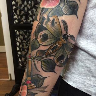 Tatuaje de polilla neo tradicional de Jasmin Austin.  #insecto # polilla #neotradicional #JasminAustin