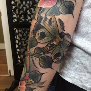 Neo traditional moth tattoo by Jasmin Austin. #insect #moth #neotraditional #JasminAustin