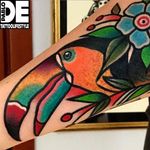 Brightly colored traditional toucan tattoo by Pablo De. #traditional #bird #toucan #PabloDe