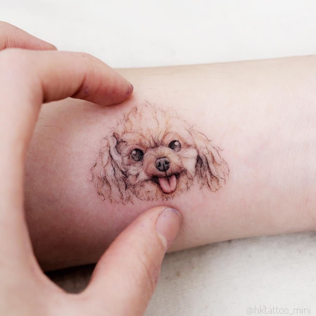 June Alison Yen   Toy Poodle Portrait  A tattoo of  Facebook