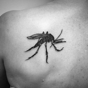 Mosquito Tattoo by Aru Tattoo #mosquito #insect #bug #blackworkinsect #blackinsect #creatures #Aru #AruTattoo