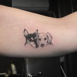 Two adorable puppies (IG-@dan_tattoo_o) #blackwork #dotwork #cattattoo #linework #southkorea #southkoreantattooartist #southkorean #puppyportrait #puppy #puppytattoo #dogtattoo #dogportrait #dog