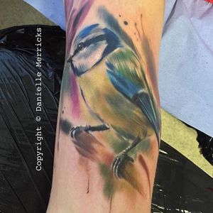 Painterly realism blue tit bird by Danielle Merricks. #realism #colorrealism #painterly #bird #bluetit #bluetitbird #DanielleMerricks