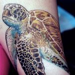 Sea turtle in the making by Sean McCready. (IG - seanmccready) #SESSIONS #SeanMcCready #Hawaii #realistictattoo #seaturtle #turtle