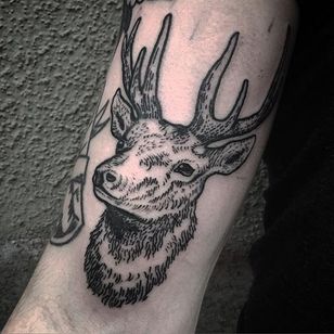 Stag Tattoo por Jack Ankersen #Blackwork #TaditionalBlackwork #BlackTattoos #Illustrative #FedBlackwork #JackAnkersen #btattooing #blckwrk #stag