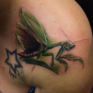 Praying mantis ready to strike! Tattoo by Kyle Cotterman. #realism #colorrealism #KyleCotterman #insect #prayingmantis
