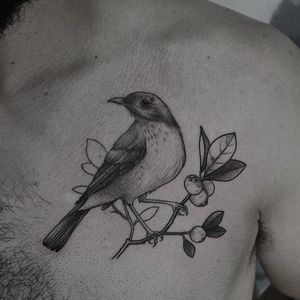 Bird tattoo by Yara Floresta #YaraFloresta #monochrome #blackwork #dotwork #linework #bird