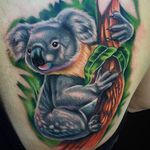 Soft and Vibrant Painter style Koala Tattoo by Unknown Artist #Cute #Painterstyle #KoalaTattoo #Koala