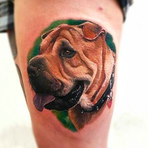 Another awesome pet portrait tattoo done by Peter Tattooer. #PeterTattooer #portraittattoo #realistic #dog #realism #portrait #petportrait