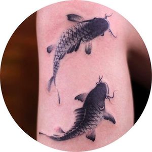 Cute and clean little Koi tattoos done by Chenpo. #chenpo #newtattoo #asianstyle #brushstyle #koi #koifish #blackandgrey
