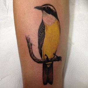 #GuinhoTattoo #Brasil #Brazil #brazilianartist #tatuadoresdobrasil #bird #passaro