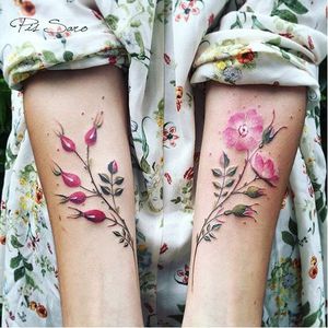 Life cycle of a Briar flower @pissarotattoo #pissarotattoo #floral #botanical #briarflower