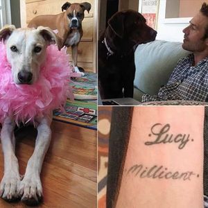 Michael Vartan's tattoos dedicated to his two dogs. #celebrities #pets #michaelvartan