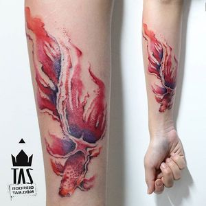 Fish Tattoo by Rodrigo Tas #WatercolorTattoos #WatercolorTattoo #WatercolorArtists #Watercolor #Brazil #BrazilianTattooArtists #RodrigoTas #fish