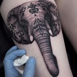 Ornamental Elephant by Ricky Williams #RickyWilliams #blackandgrey #realism #realistic #ornamental #pattern #dotwork #animal #elephant #tusks #floral #tattoooftheday