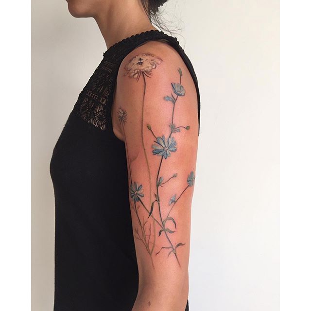 Tattoo uploaded by PK • Cornflower tattoo #AmandaWachob #flowertattoo #flower #cornflower #delicate • Tattoodo