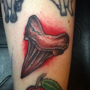 Shark Tooth Tattoo by Chris Anderson #sharktooth #shark #filler #gapfiller #ChrisAnderson