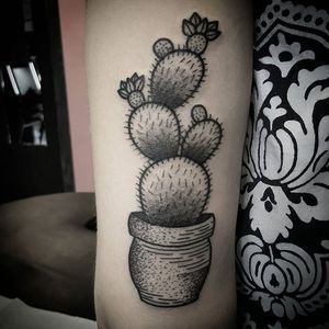 Blackwork Cactus Tattoo by Kirk George #blackwork #blackworkcactus #cactustattoos #cactustattoos #cactus #planttattoo #blackworkplanttattoos #blackworktattoos #KirkGeorge