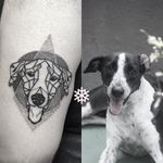 Awesome geometric linework and dotwork dog tattoo #allantattooer #portrait #dog #linework #dotwork #delicate