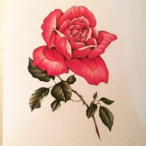 Red rose via instagram pain1666 #flashart #illustration #flower #rose #artshare #flashfriday #diegodelfino