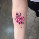 Pink oleander by Trudy #TrudyLines #bangbangnyc #blackwork #geometric #linework #dotwork #shapes #flowers #cherryblossom #nature #leaves #tattoooftheday