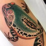 Frogger by Fabien Grezyn #FabienGrezyn #color #etching #woodblockstyle #realism #realistic #Japanese #linework #frog #reptile #animal #nature #toad #tattoooftheday