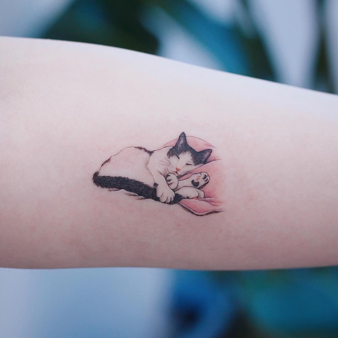 25 Best Small Cat Tattoo Designs  The Paws