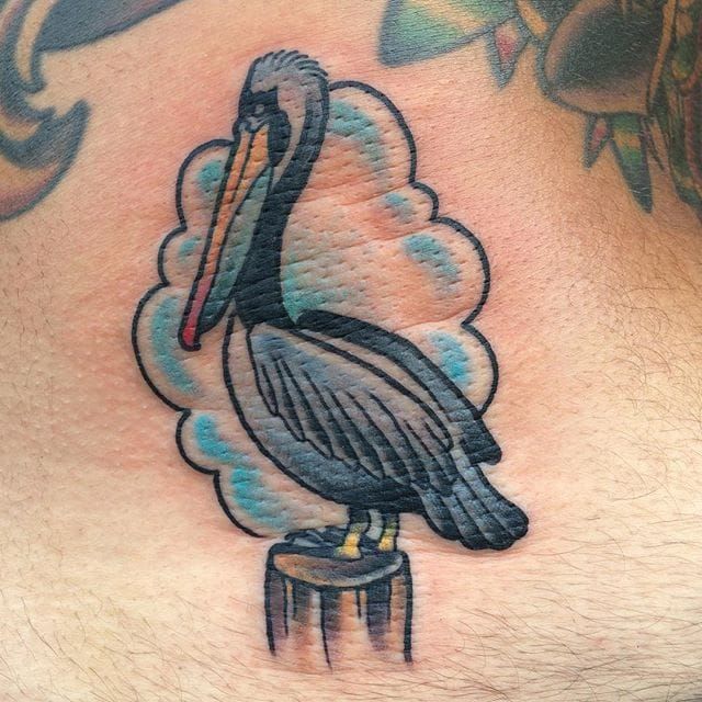 For incredible results why not try traditional pelican tattoo