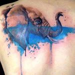 Por Victor Octaviano! #VictorOctaviano #tatuadoresbrasileiros #aquarela #aquarelatattoo #watercolor #watercolortattoo #elephant #elephanttattoo #elefante #elefantetattoo