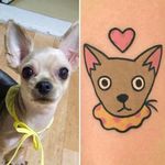Chihuahua Tattoo by Jiran @Jiran_Tattoo #JiranTattoo #Chihuahua #Pet #PetTattoo #Neotraditional #Seoul #Korea