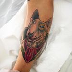 Awesome gentleman bull terrier tattoo done by Alvaro Alonso. #AlvaroAlonso #NeoTraditional #animaltattoo #MalibuTattooSpain #bullterrier #tattooeddog