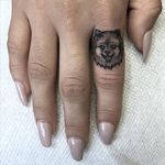 Dainty fineline pomeranian finger tattoo by Sean Arnold. #dog #pomeranian #fineline #finger #SeanArnold
