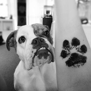 Paw print tattoo via Instagram @rene_milo1995 #pawprint #aussiebulldog #soulmate #print #paw #dog #blackwork #btattooing