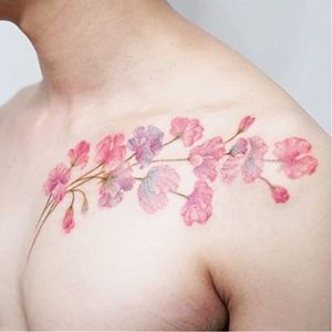 Blooming branch via instagram tattooist_silo #flowers #floral #flora #watercolor #painterlystyle #feminine #silotattoo