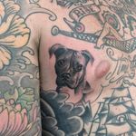 Tiny pit bull tattoo by Deni Casella (aka Posco Losco). #gapfiller #miniature #dog #pitbull #realism #blackandgrey #DenisCasella #PoscoLosco
